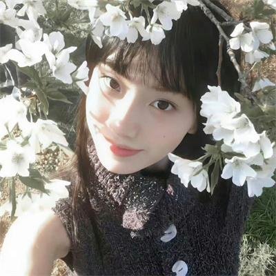 终结杉计划